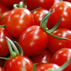ハッピートマト（1.5kg）｜高知特産 人気のフルーツトマト“ハッピートマト”