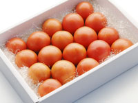 よさこい高知県産　フルーツトマト1kg