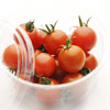 小の　よさこい高知県産　フルーツトマト　紅高200g×16パック｜高知特産　高糖度フルーツトマト